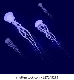 Blue glowing Jellyfishes under water. flock of jellyfishes swimming in the ocean
