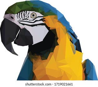 273 Blue and gold macaw parrot vector Images, Stock Photos & Vectors ...