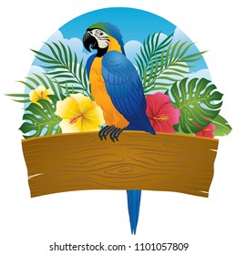 blue and gold macaw sit on wooden banner