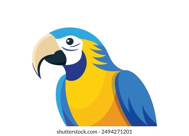 Blue and gold macaw vector art illustration