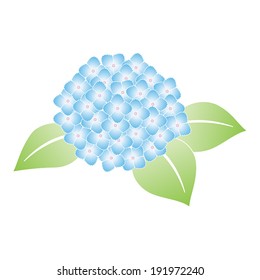 Blue gradient hydrangea / vector illustration