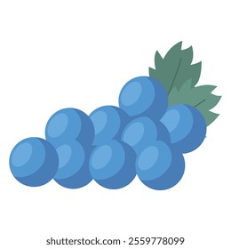 Blue grape bunch with green leaves for wine Vector