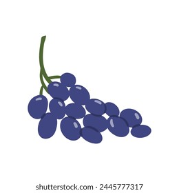 Blue grape bunch. Vector flat illustration.