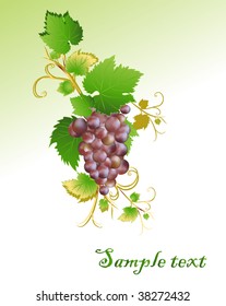 Blue grape cluster with leaves. vector