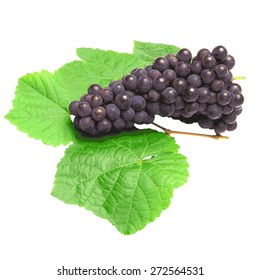 Blue grape with green leaf, isolated on white background. Vector illustration.