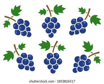 Blue grape icon set. Fruits group vector illustration. Fresh healthy food concept. 