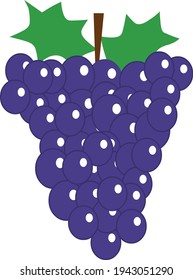 Blue grape illustration vector isolated on white background
