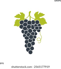 Blue grape. Isolated grape on white background