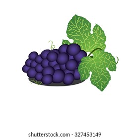 Blue grape with leaf on white background