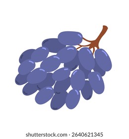 Blue grape on twig in flat cartoon design. Fresh ripe juicy vine fruit. Delicious grapevine berry for summer picnic. Healthy ingredient for vegetarian or vegan diet. Vector illustration isolated.