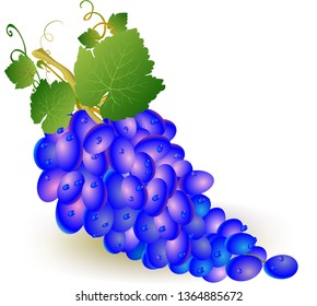 blue grape sweet