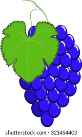 Blue grapes