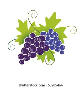 Blue Grapes