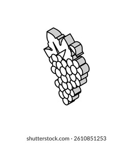 blue grapes bunch isometric icon vector. blue grapes bunch sign. isolated symbol illustration