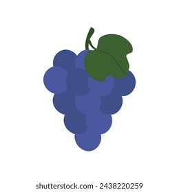 Uvas azules en estilo plano, tarjetas para enseñar a niños pequeños y preescolares.