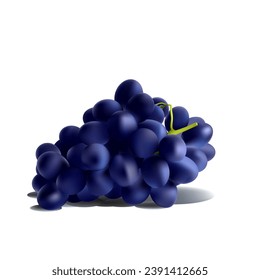 Blue grapes. Fresh, nutritious, tasty grapes. A delicious and healthy dessert. Elements for label design. Fruit ingredients in mesh technique. Vector illustration.
