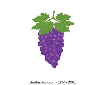 Blue Grapes with leaves Fruit sign. Fresh Purple Grapes Vector illustration, emblem isolated on white background, Flat style for graphic and web design, logo. 