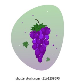 blue grapes with leaves .fruit vector illustration