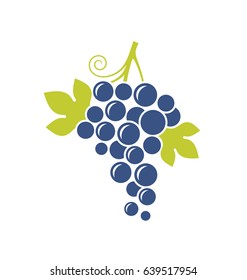 Blue grapes logo. Fresh fruit sign.  Healthy food. Isolated vine on white background