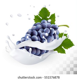 Uvas azules en una leche salpicada en un fondo transparente. Vector.