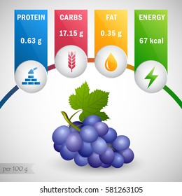 Blue grapes nutrients vector. Protein, carbs, fat, energy