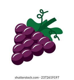 Blue grapes on white background