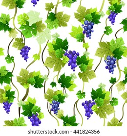 Blue grapes seamless pattern. The natural design banner,ticket, leaflet and so on. Place for text. Isolated elements.