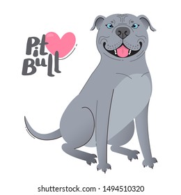 Blue gray pit bull terrier. Happy pitbull. Vector illustration.