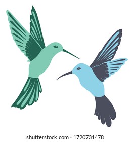 Blue and green birds in flight on a white background. Hummingbirds flutter around each other