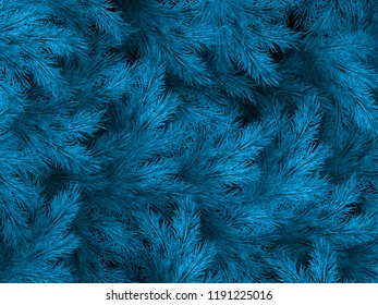 Blue green branches of a fur-tree, spruce or pine with copyspace. EPS 10