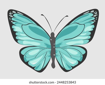 mariposa verde azul con un patrón negro