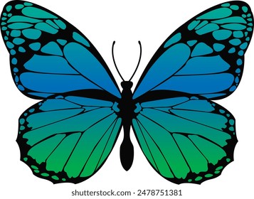 Blue and Green Butterfly Fluttering on a White Background. Moth Colorful Silhouette Design. Elegant Summer Wedding Decor. Exotic Butterfly Wings Printable Art.