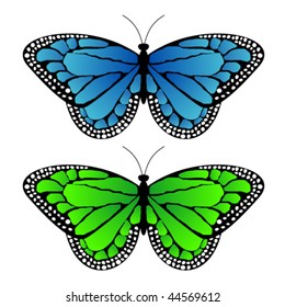 blue and green butterfly on white background