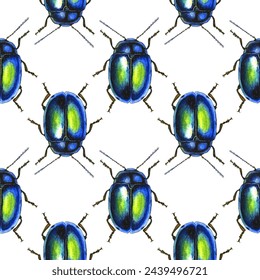 Insecto verde azul chrysolina coerulans insecto aislado en el fondo blanco vector patrón sin fisuras. Chrysolina coerulans primer plano bicho azul, ilustración de insecto brillante.