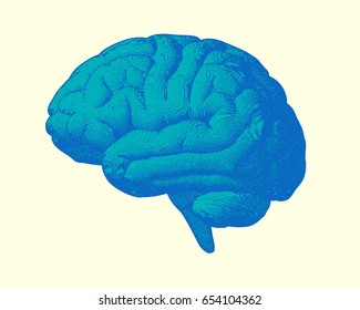 Blue And Green Engraving Brain Side View Illustration Old Style On Bright Background