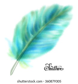 Blue and green fluffy feather isolated on white background. Vector illustration.