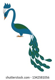 Ilustración del vector de pavo real azul y verde sobre fondo blanco 