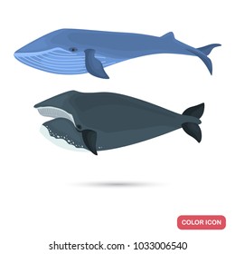 Blue and Greenland whales color flat icons set