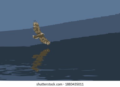 Azules, grises, grises, de un halcón volando sobre el agua, haciendo banca en un giro.