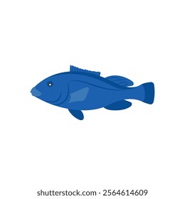 Blue Groper Australian Symbol Vector Illustration