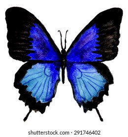 Blue hand draw watercolor butterfly