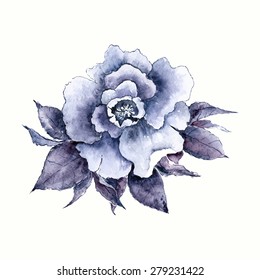 Blue hand drawn rose. Watercolor flower.