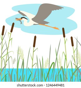  blue  heron flying , vector illustration , flat style ,profile view