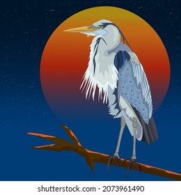Blue heron on the tree branch at sunset.Egret on orange sunrise starry sky background.Crane bird at Florida red sundown.Gray feathered stork and big red sun.Design for prints.Stock vector illustration