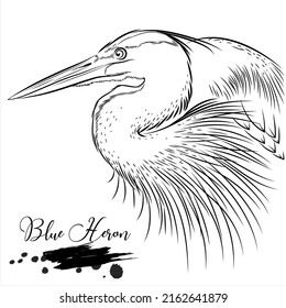 Blue Heron Realistic Animal Sketch Vector Stock Vector (Royalty Free ...