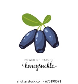Blue honeysuckle berry flat icon with inscription colorful vector illustration of eco food isolated on white. 