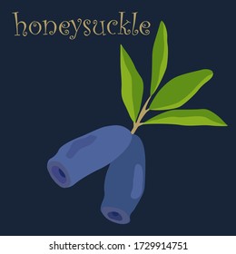 blue honeysuckle, vector art drawn