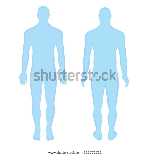 Blue Human Anatomical Man Silhouette View Stock Vector (Royalty Free