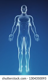 Blue Human Anatomy Body