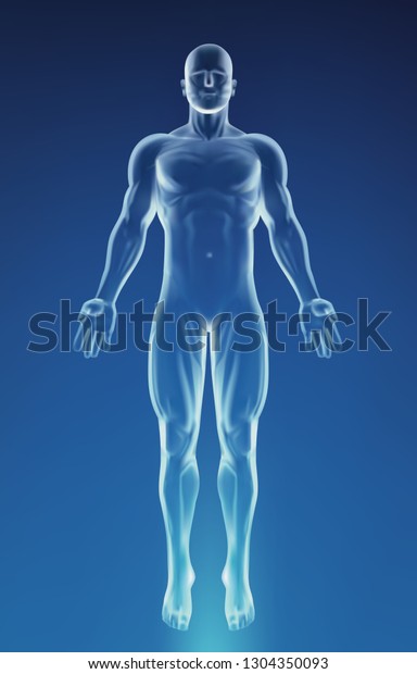 Blue Human Anatomy Body Stock Vector (Royalty Free) 1304350093 ...